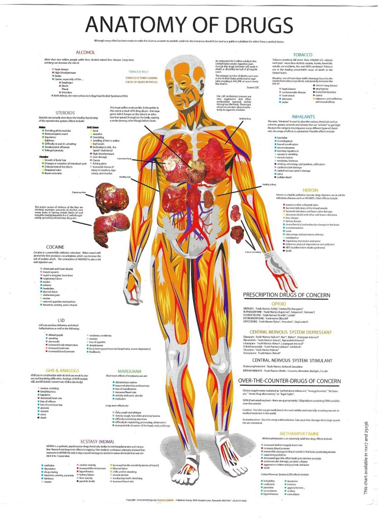 Illustration of the human body labeled with different categories of drugs, their effects, and associated health risks, including alcohol, tobacco, cocaine, heroin, steroids, and marijuana.